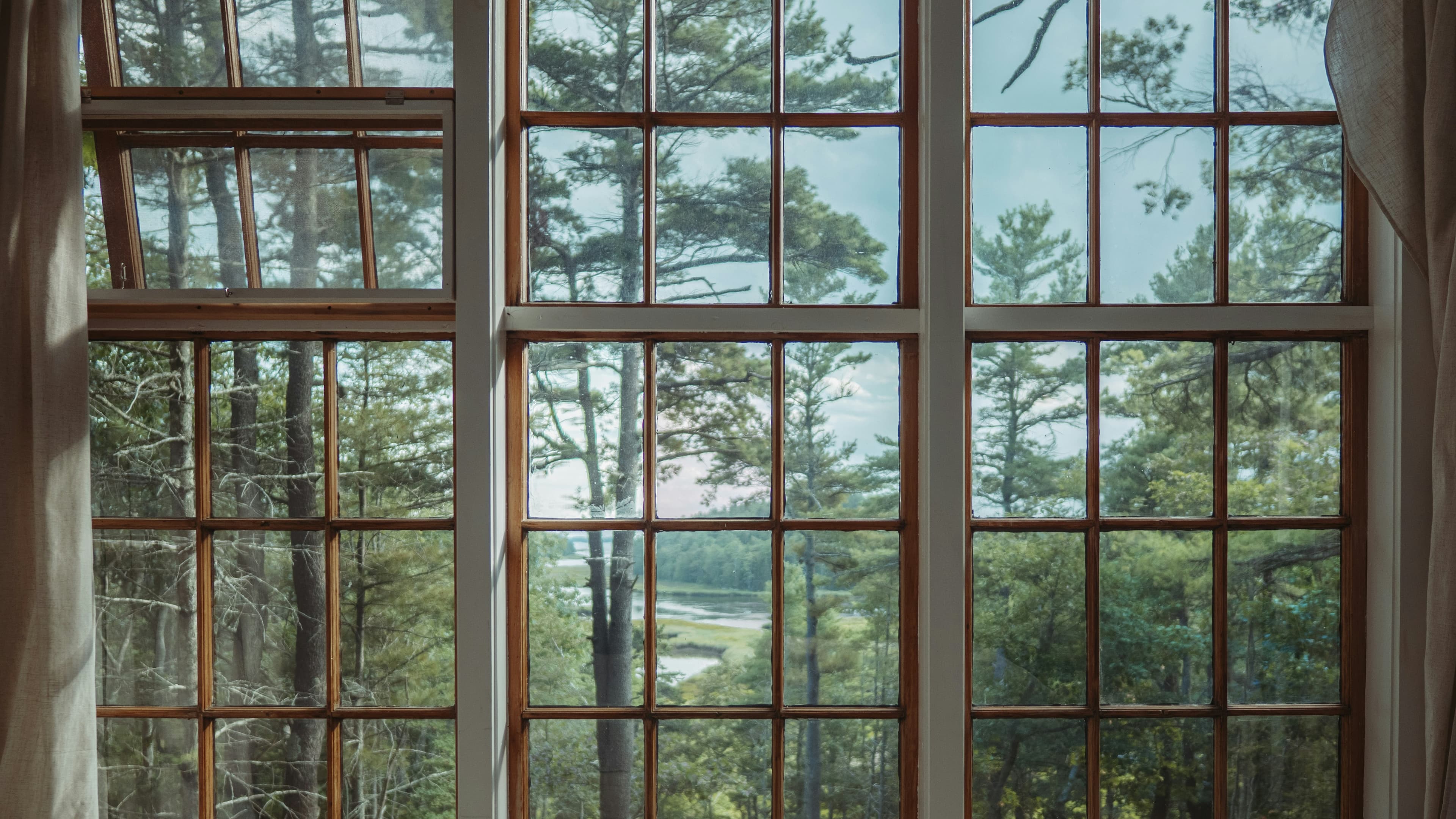 Large wood-framed divided-lite window with a view of forest and water